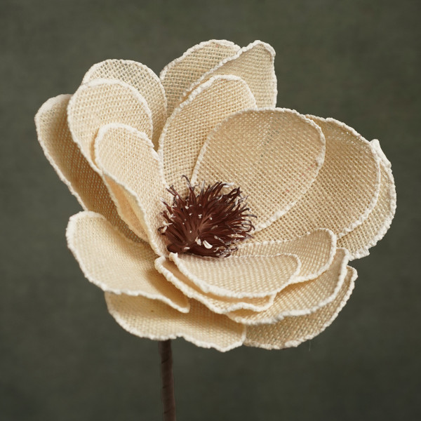 Exemple de produits &mdash; Fleurs Flora &reg;