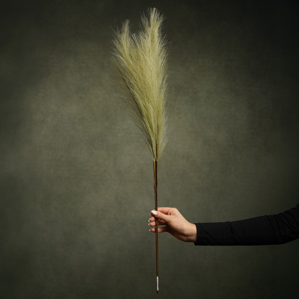 Exemple de produits &mdash; Pampas & Plumes