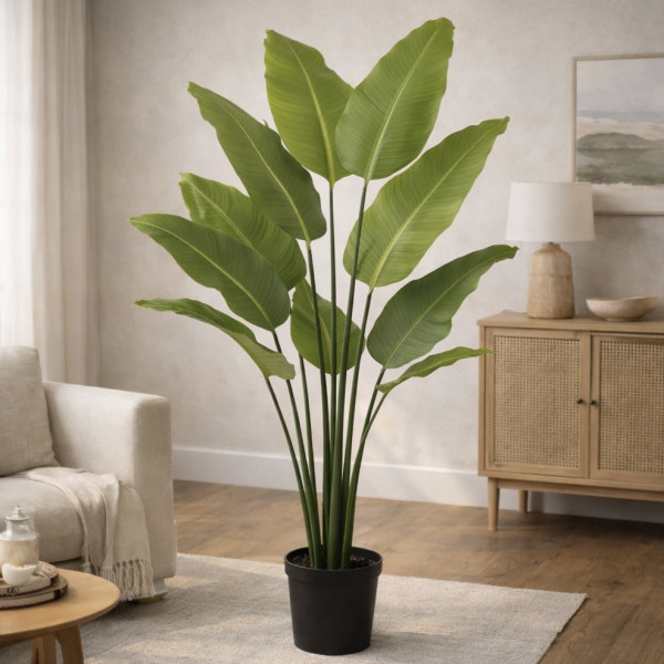 Exemple de produits &mdash; Plantes