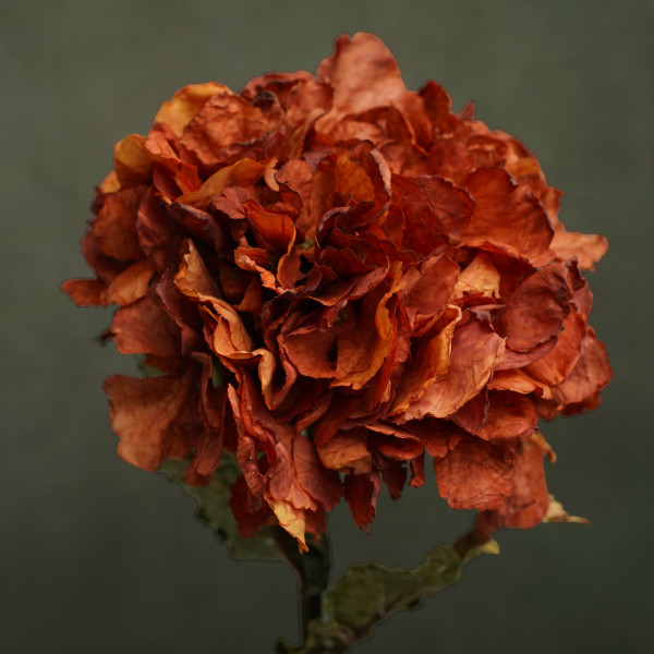 Exemple de produits &mdash; Fleurs Lamarli&eacute;re &reg;